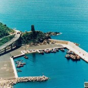 Fincosit image gallery