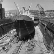 Fincosit image gallery
