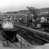 Fincosit image gallery