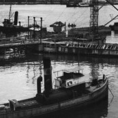 Fincosit image gallery