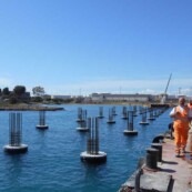 Fincosit image gallery