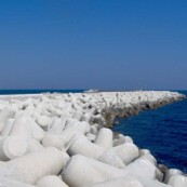 Fincosit image gallery