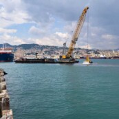 Fincosit image gallery